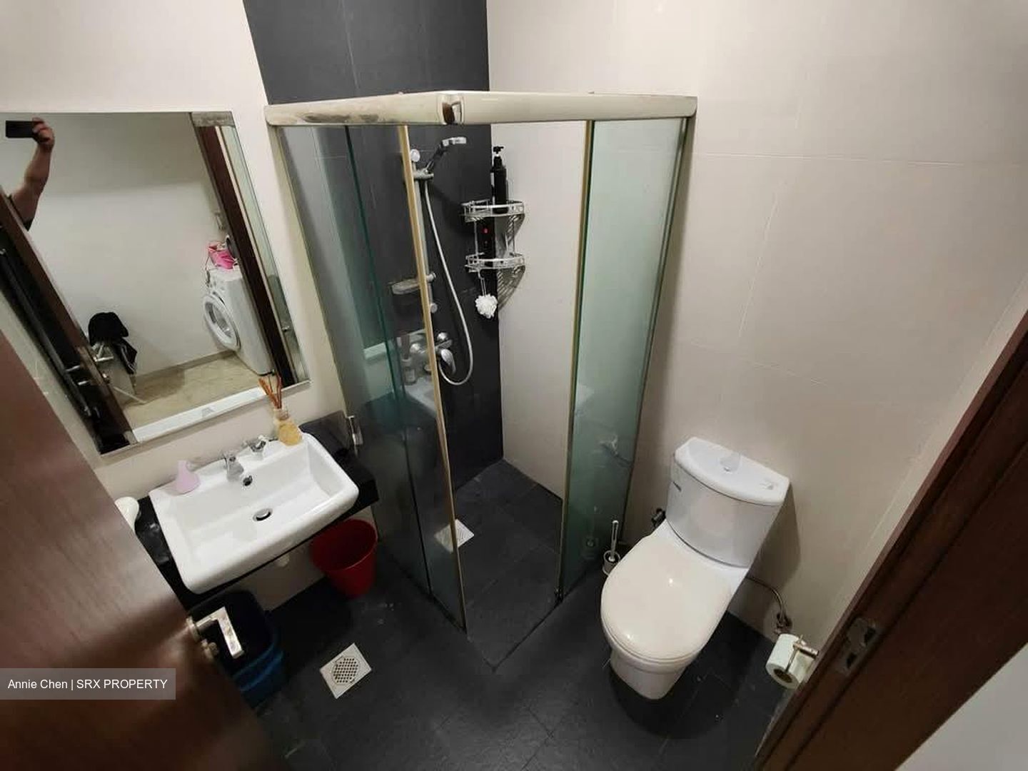 Parc Elegance (D15), Apartment #573379171